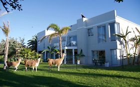 Lamabeach City Farm
