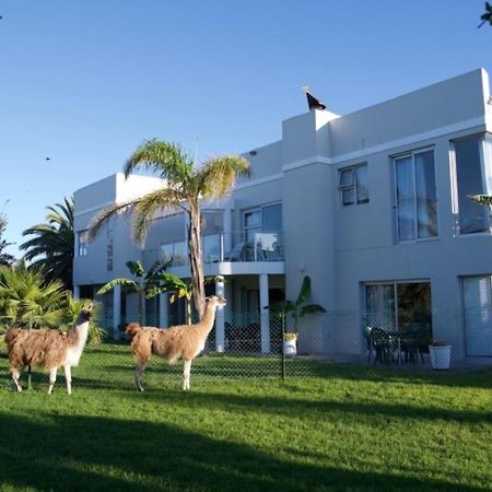 Lamabeach City Farm Cape Town Exterior photo